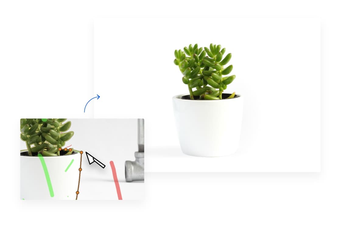 Using the scalpel tool to remove the background