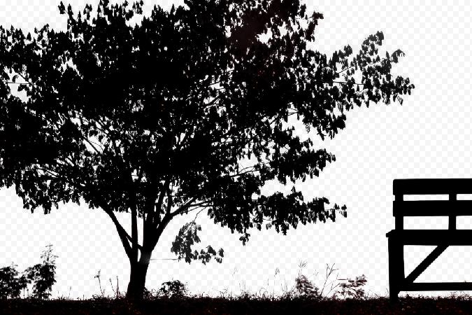 Tutorial image result