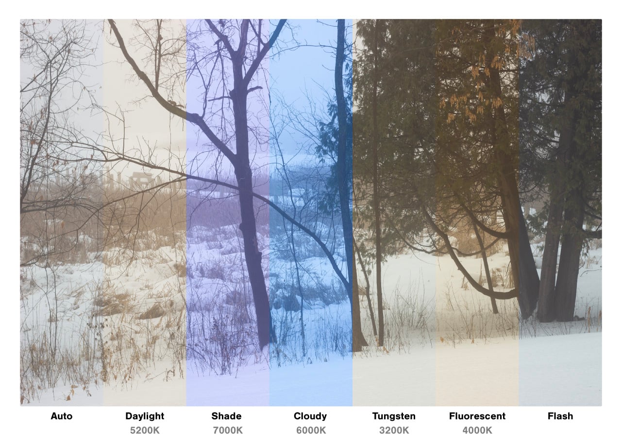 White balance settings example