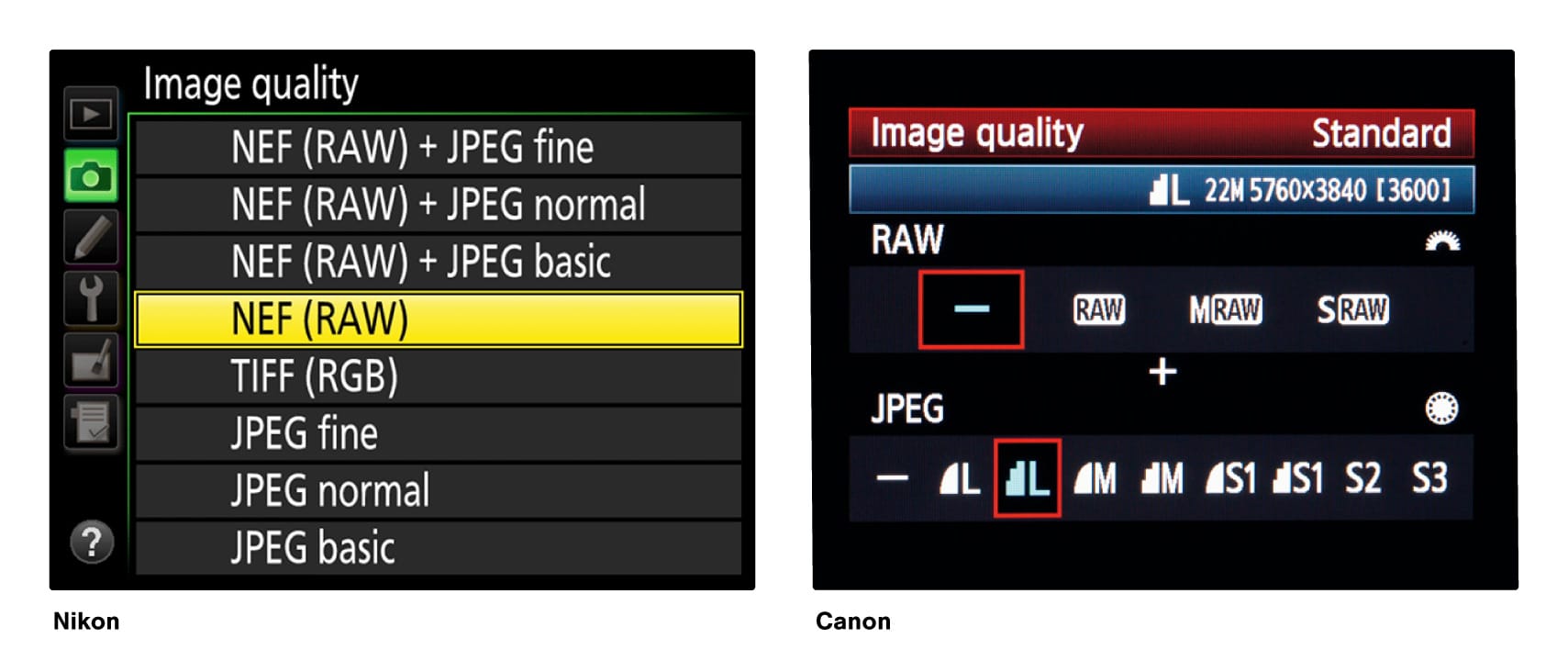 Nikon and Canon image file screens