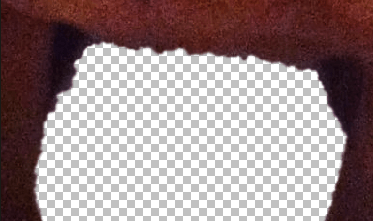 Tutorial image result